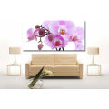 Pink Flower Picture Printed on Canvas for Decor